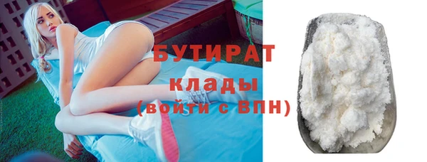 индика Аркадак