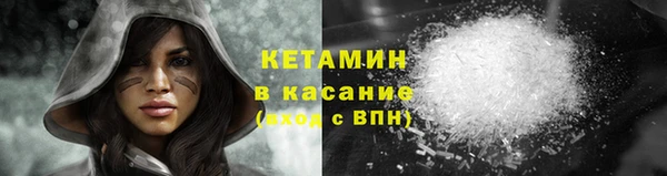 индика Аркадак
