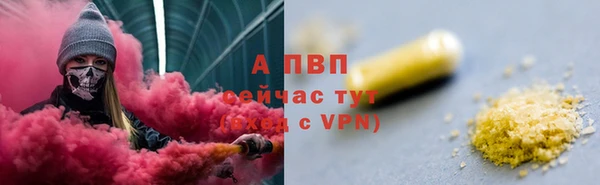 индика Аркадак