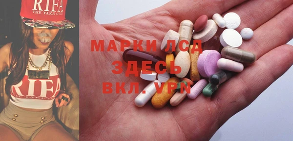 индика Аркадак