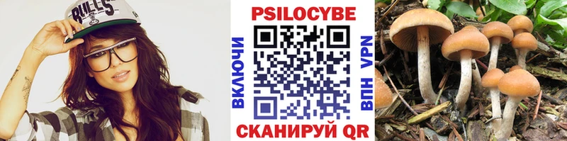Псилоцибиновые грибы Cubensis  Купить где  Белый 